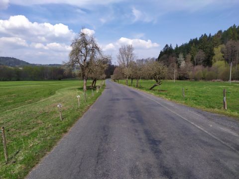 Foto 53